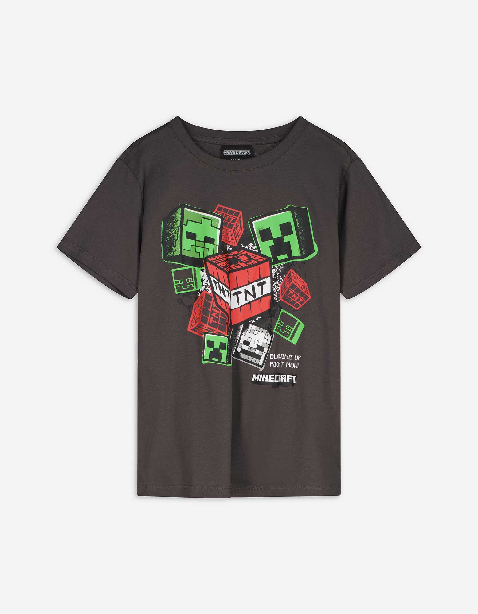 Kinder T-Shirt - Minecraft - dunkelgrau, Takko, dunkelgrau