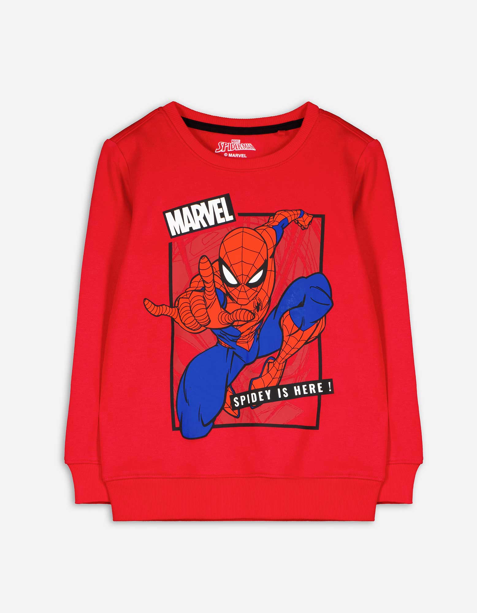 Kinder Sweatshirt - Spiderman - rot, Takko, rot