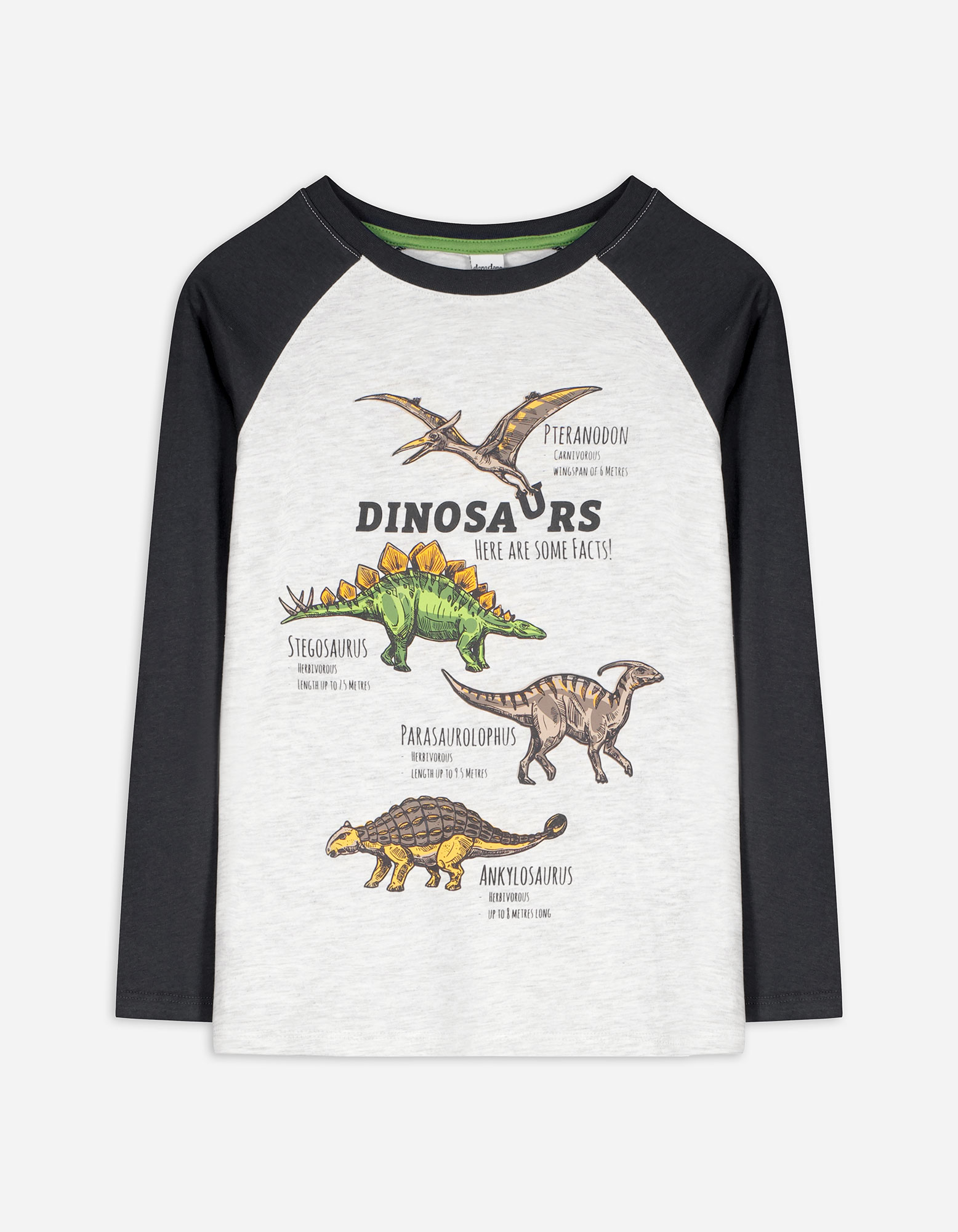 Kinder Langarmshirt - Dinosaurier, Takko, hellgrau